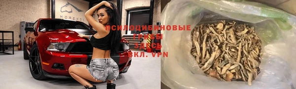 прущий лед Новозыбков