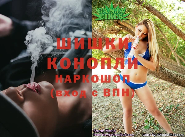 бошки Няндома