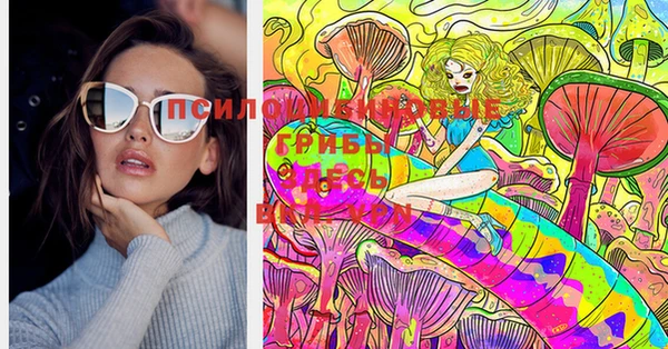 прущий лед Новозыбков
