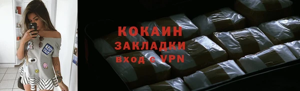 бошки Няндома