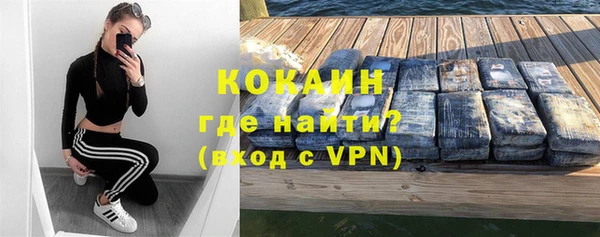 бошки Няндома