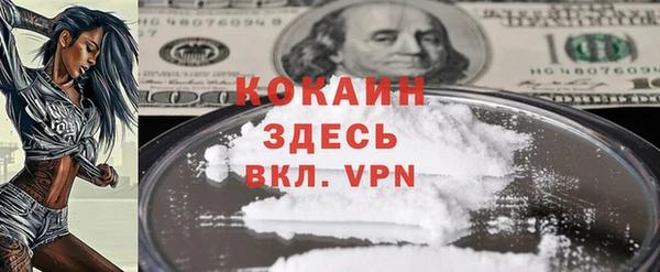 прущий лед Новозыбков