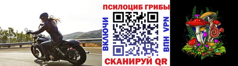 кракен как войти Закаменск Псилоцибиновые грибы мицелий